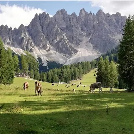 Mansardina Il Nido Apartamento Padola